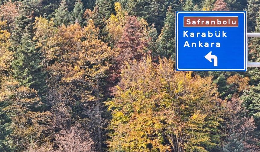 Karabük ormanlarında sonbahar renkleri