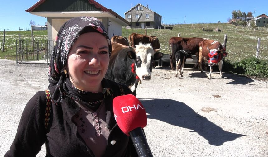 Trabzon'da, yaylacıların renkli dönüş yolculuğu